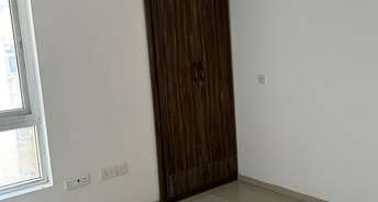 4 BHK Apartment For Rent in Tulip Violet Sector 69 Gurgaon 6818845