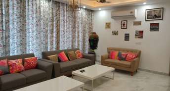 3 BHK Apartment For Rent in Dhillon Burj One Lohgarh Zirakpur 6818835