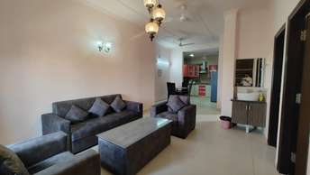 2.5 BHK Apartment For Rent in C4 Vasant Kunj Vasant Kunj Delhi 6819211