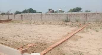  Plot For Resale in Chinhat Lucknow 6819385