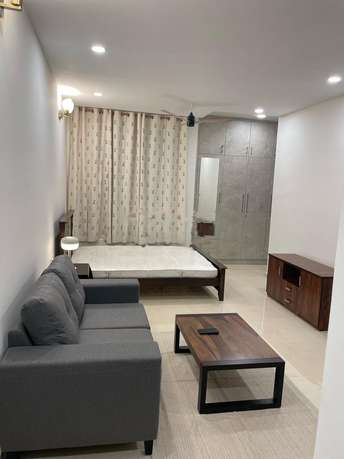 1 RK Apartment For Rent in Assetz 63 Degree East Off Sarjapur Road Bangalore 6819374