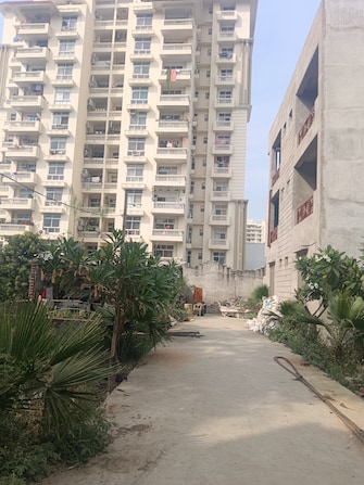 Plot For Resale in Omega Green Park Faizabad Road Lucknow  6819589