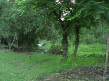 Plot Area in  Plot at Kinathukadavu – for Sale