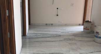 3 BHK Builder Floor For Rent in Sector 40 Chandigarh 6819781