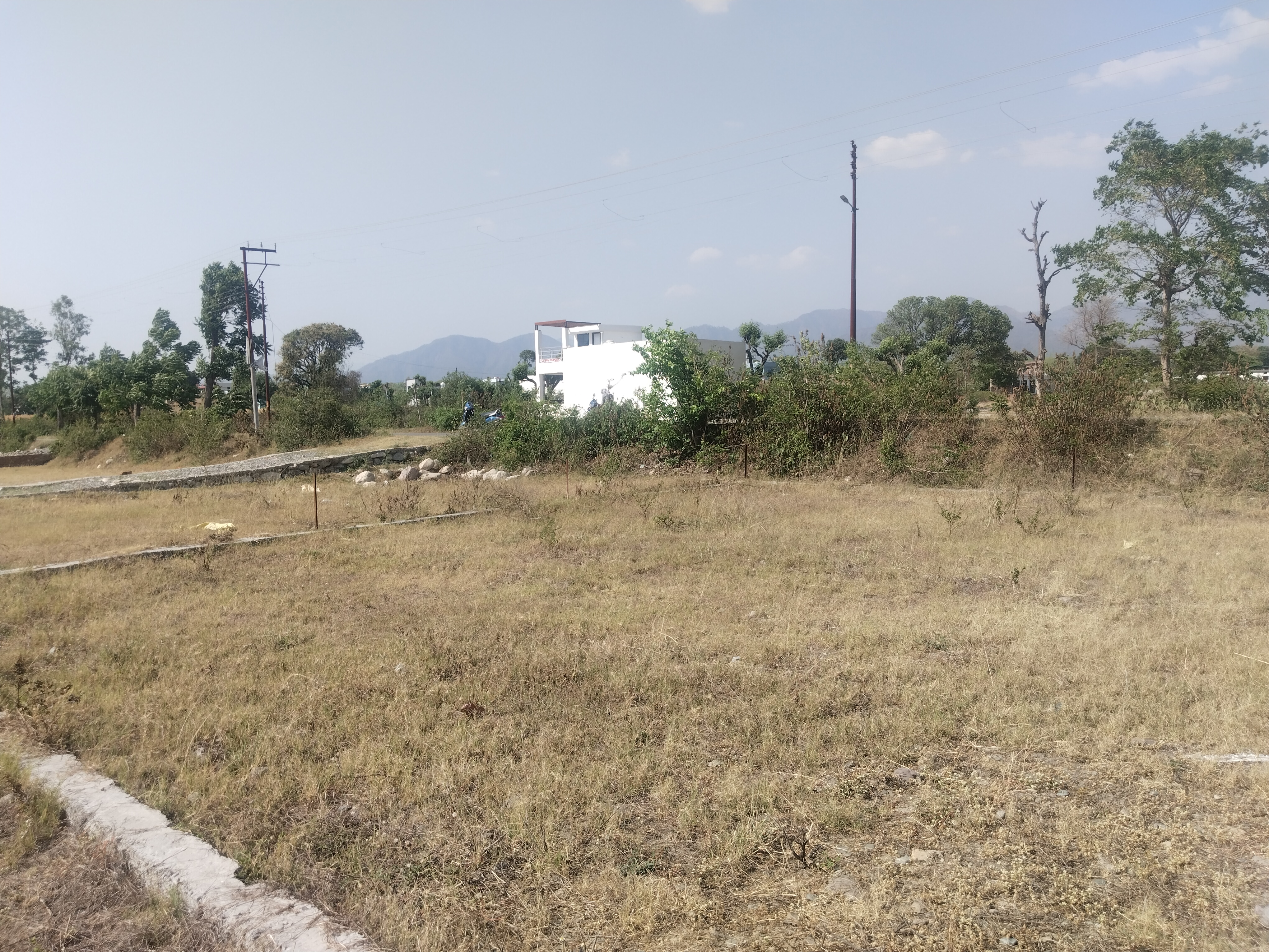 Resale 135 Sq.Yd. Plot in Jolly Grant Dehradun 6820061