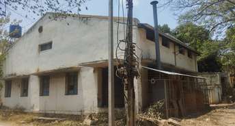 Commercial Warehouse 6000 Sq.Ft. For Resale In Electronic City Phase ii Bangalore 6819217
