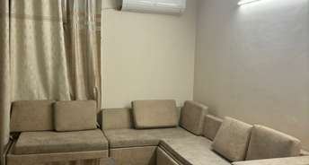 2 BHK Apartment For Rent in Chandigarh Road Ludhiana 6820494