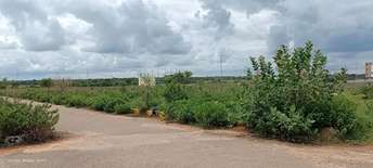  Plot For Resale in Alair Hyderabad 6820489