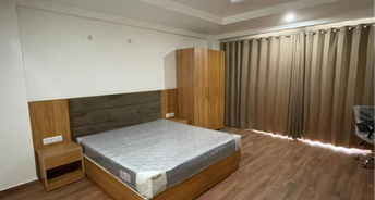 1 RK Builder Floor For Rent in Builder Floor Sector 28 Gurgaon 6820569