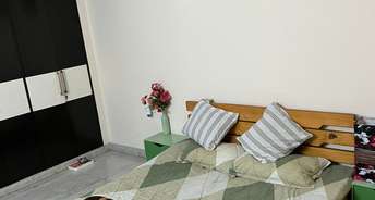 3 BHK Apartment For Resale in Shivalik Apartments Malviya Nagar Malviya Nagar Delhi 6820683