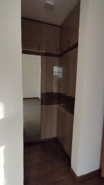 3 BHK Apartment For Rent in SS The Leaf Sector 85 Gurgaon  6821048