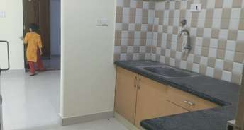 2 BHK Apartment For Rent in Hrbr Layout Bangalore 6821200