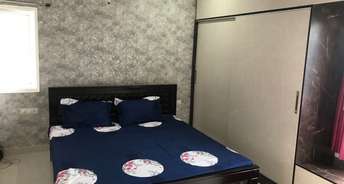2 BHK Apartment For Rent in Prestige High Fields Gachibowli Hyderabad 6821265