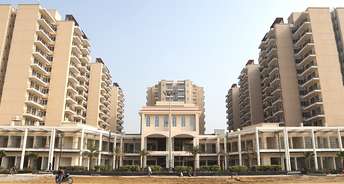 3 BHK Apartment For Resale in Signature Global Signum 71 Sector 71 Gurgaon 6821310