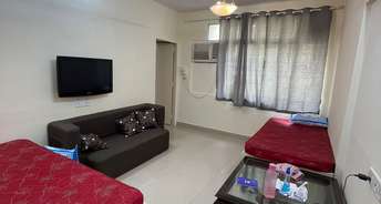1 BHK Apartment For Rent in Khar West Mumbai 6821371