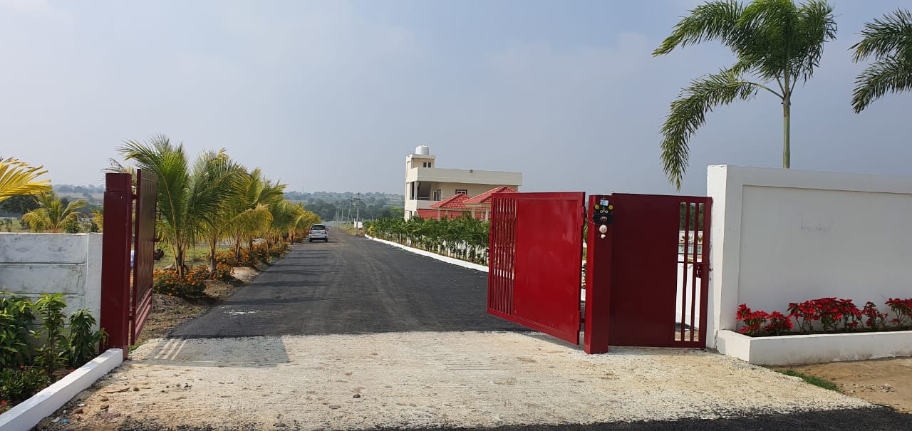  Plot For Resale in Chevalla Hyderabad 6821519