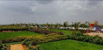 Plot For Resale in Shadnagar Hyderabad  6821786