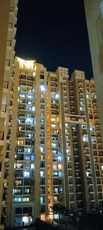 2 BHK Apartment For Resale in Ace Divino Noida Ext Sector 1 Greater Noida  6821941