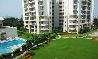 3 BHK Apartment For Resale in Godrej Zenith Sector 89 Gurgaon  6822797