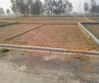 Plot For Resale in Baberpur Mandi Panipat  6823088