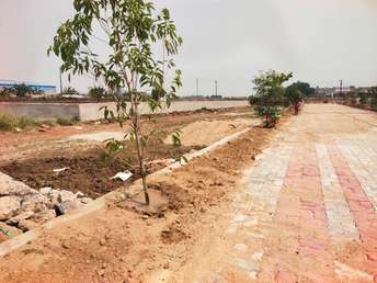  Plot For Resale in Uttara Chhak Bhubaneswar 6823305