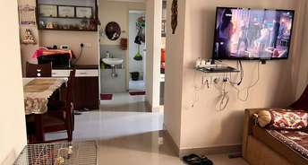 2 BHK Apartment For Rent in Gala Lifestyle Haven Near Nirma University On Sg Highway Ahmedabad 6823327