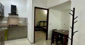 2 BHK Builder Floor For Rent in Panchsheel Enclave Delhi 6823707