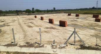 Commercial Land 5000 Sq.Ft. For Resale In Amausi Lucknow 6823862