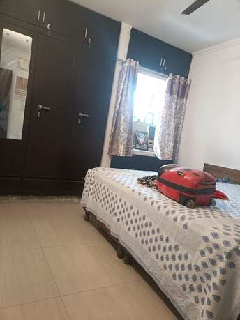 2 BHK Apartment For Rent in DDA Flats Mayur Vihar Phase 1 Extension Mayur Vihar Phase 1 Delhi 6823981
