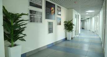 Commercial Office Space 250 Sq.Ft. For Rent In Rajpur Road Dehradun 6824012