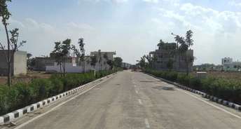 Commercial Land 111 Sq.Yd. For Resale In Diggi Road Jaipur 6824517