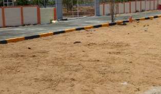  Plot For Resale in Trichy Madurai Road Trichy 6216964