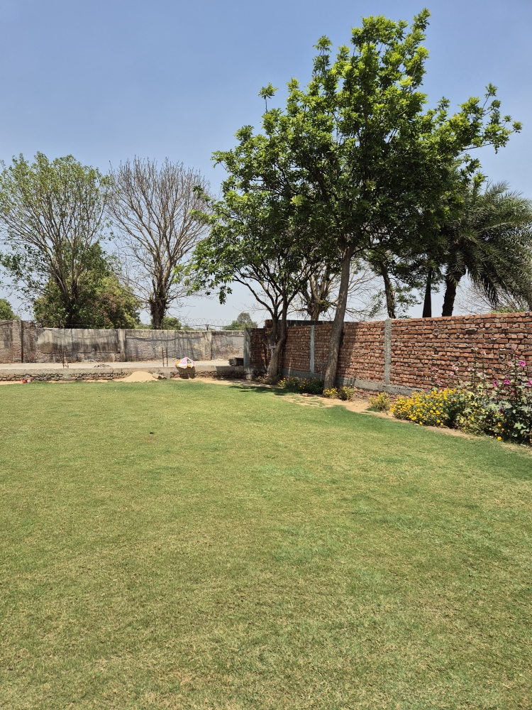 Plot For Resale in Malerna Faridabad  6824771