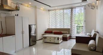 1 BHK Builder Floor For Rent in Kailash Hills Delhi 6824865