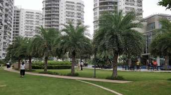 4 BHK Penthouse For Resale in Emaar The Palm Drive The Sky Terraces Sector 66 Gurgaon 6824884
