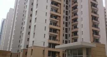 2 BHK Apartment For Rent in Jaypee Greens Kosmos Sector 134 Noida 6824991