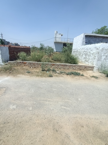 Plot For Resale in Baba Haridas Nagar Delhi  6825049