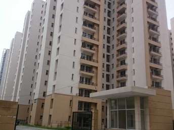 2 BHK Apartment For Rent in Jaypee Greens Kosmos Sector 134 Noida 6825282
