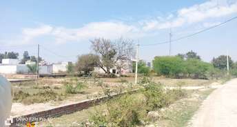  Plot For Resale in Anora Lucknow 6825582