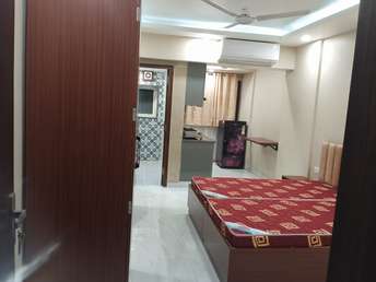 1 RK Apartment For Rent in DLF Capital Greens Phase 3 Moti Nagar Delhi  6825621