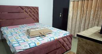 2 BHK Apartment For Rent in Aditya Urban Casa Sector 78 Noida 6825936