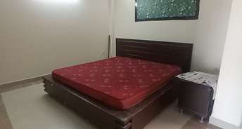 1.5 BHK Builder Floor For Rent in Malviya Nagar Delhi 6826197