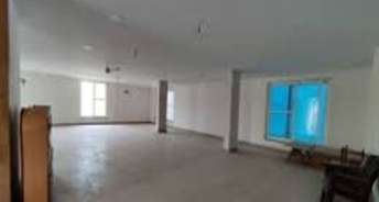 Commercial Showroom 1800 Sq.Ft. For Rent In Civil Lines Allahabad 6826312