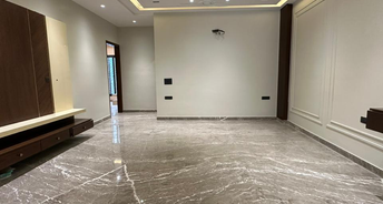 3 BHK Builder Floor For Resale in RWA Block A2 Paschim Vihar Bhera Enclave Delhi 6826420