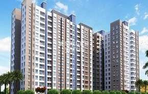 1 BHK Apartment For Rent in Casa Imperia Wakad Pune 6826506