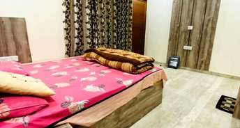 Studio Apartment For Rent in Penta Homes Vip Road Zirakpur 6826848