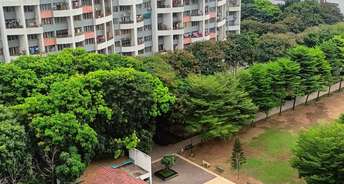 3 BHK Apartment For Rent in Kumar Gulmohar Wanowrie Pune 6826856