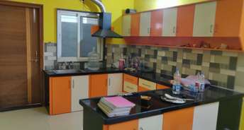 3 BHK Apartment For Rent in PVR Sarma Sadanam Punjagutta Hyderabad 6827366