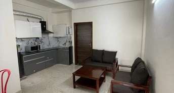1 BHK Apartment For Rent in Godrej 24 Hinjewadi Pune 6827542
