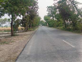  Plot For Resale in Digh Village Faridabad 6827586